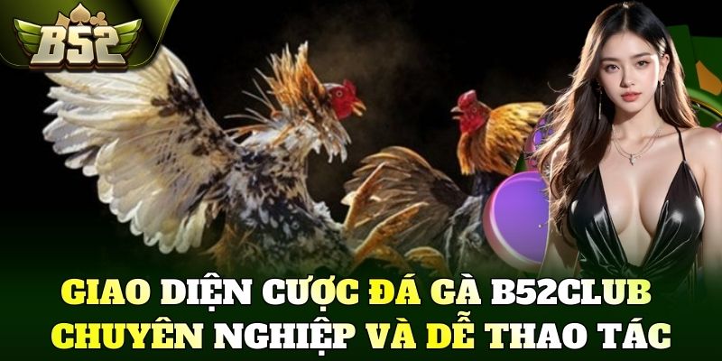Giao diện cược Đá Gà B52Club chuyên nghiệp và dễ thao tác